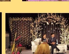 Branch & Crystal Stage Seating - Corporate Event Management in Udaipur