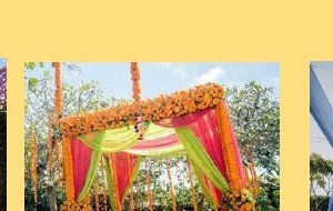 Greenery Wall with Marigold Swags - Corporate Event Management in Udaipur