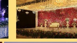 Reception Floral Wall Stage - Corporate Event Management in Udaipur
